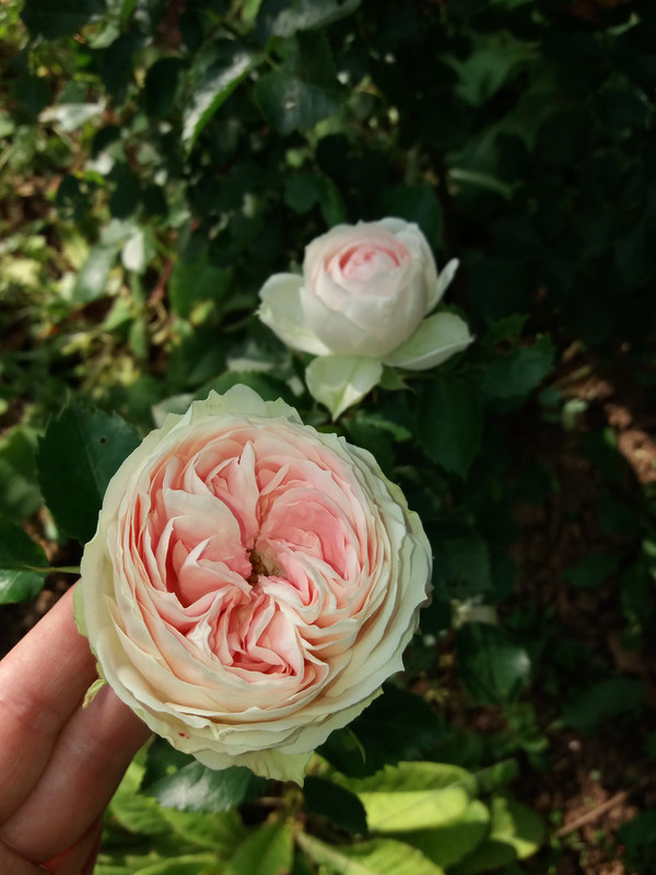 20190615_183107