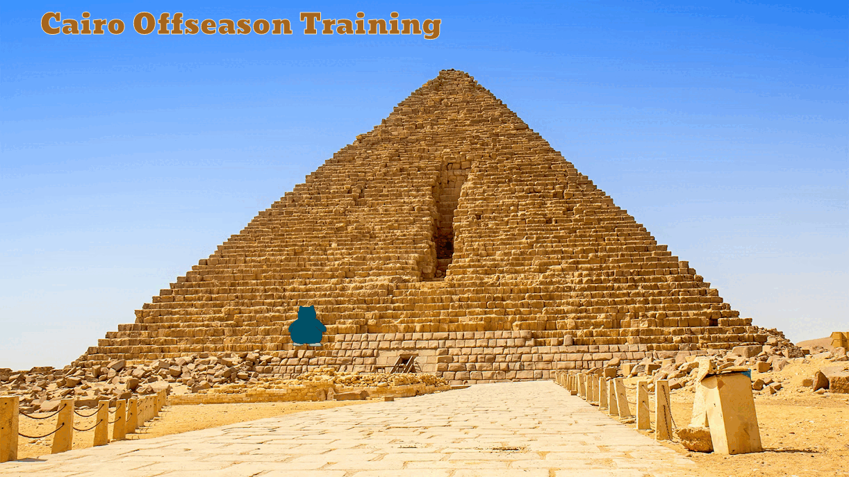 [Image: Ronflex-Cairo-Training.gif]