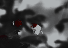 2801526b7cfec503e21a0e543e2ae190-ezgif-com-crop.gif