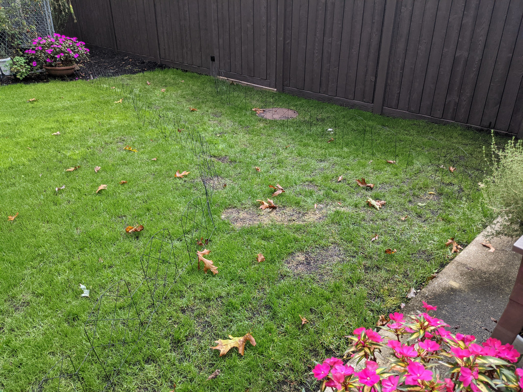 PXL_20211009_165753442