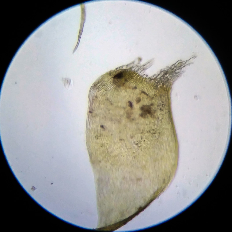 IMG 20250614 204947 HDR