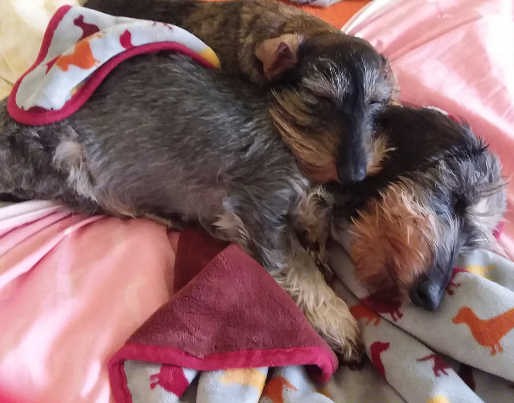 [Image: 20240919-091608.jpg]