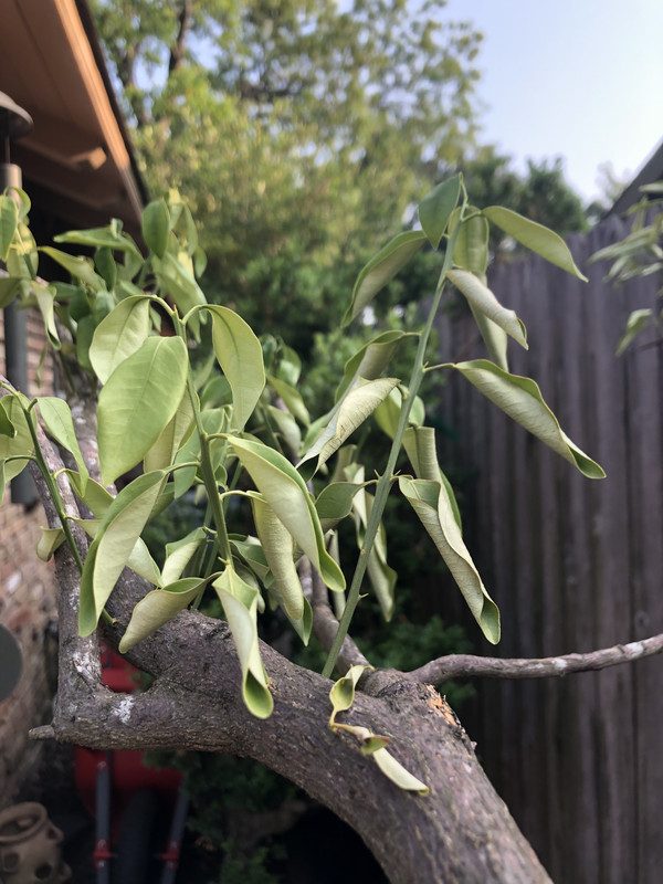 1631B721-4276-460C-8FF9-CF7238B19267