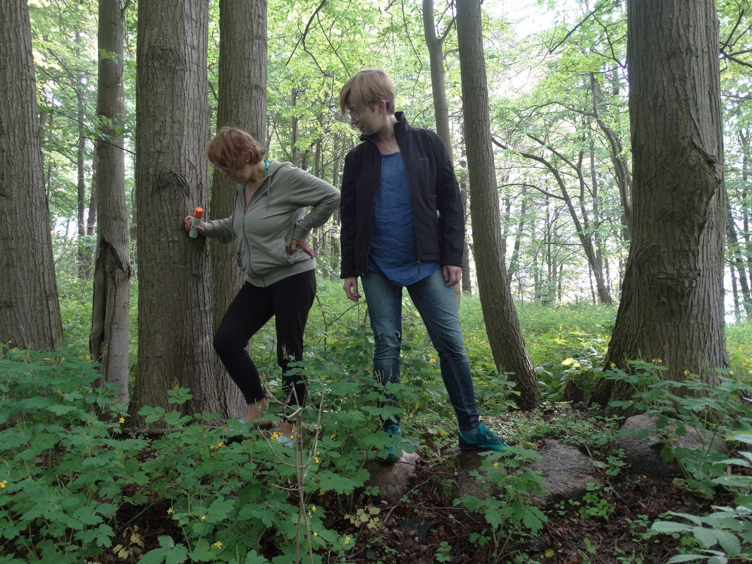 19 - DSC04028 (Czesio1)