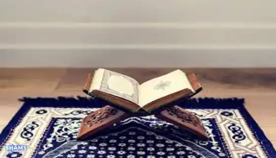 How-were-the-chapters-of-the-Holy-Quran-arranged
