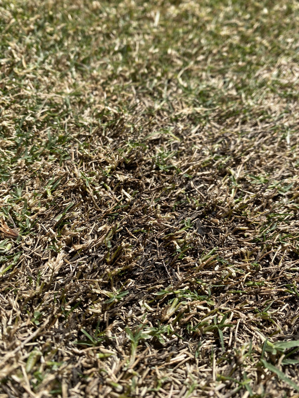 AD1DC3B8-2CCB-4FED-A9C5-49D6798863B9