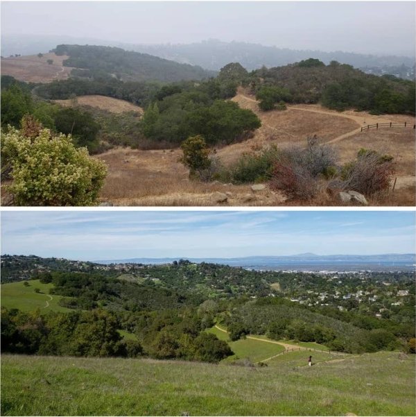 Before-after-8