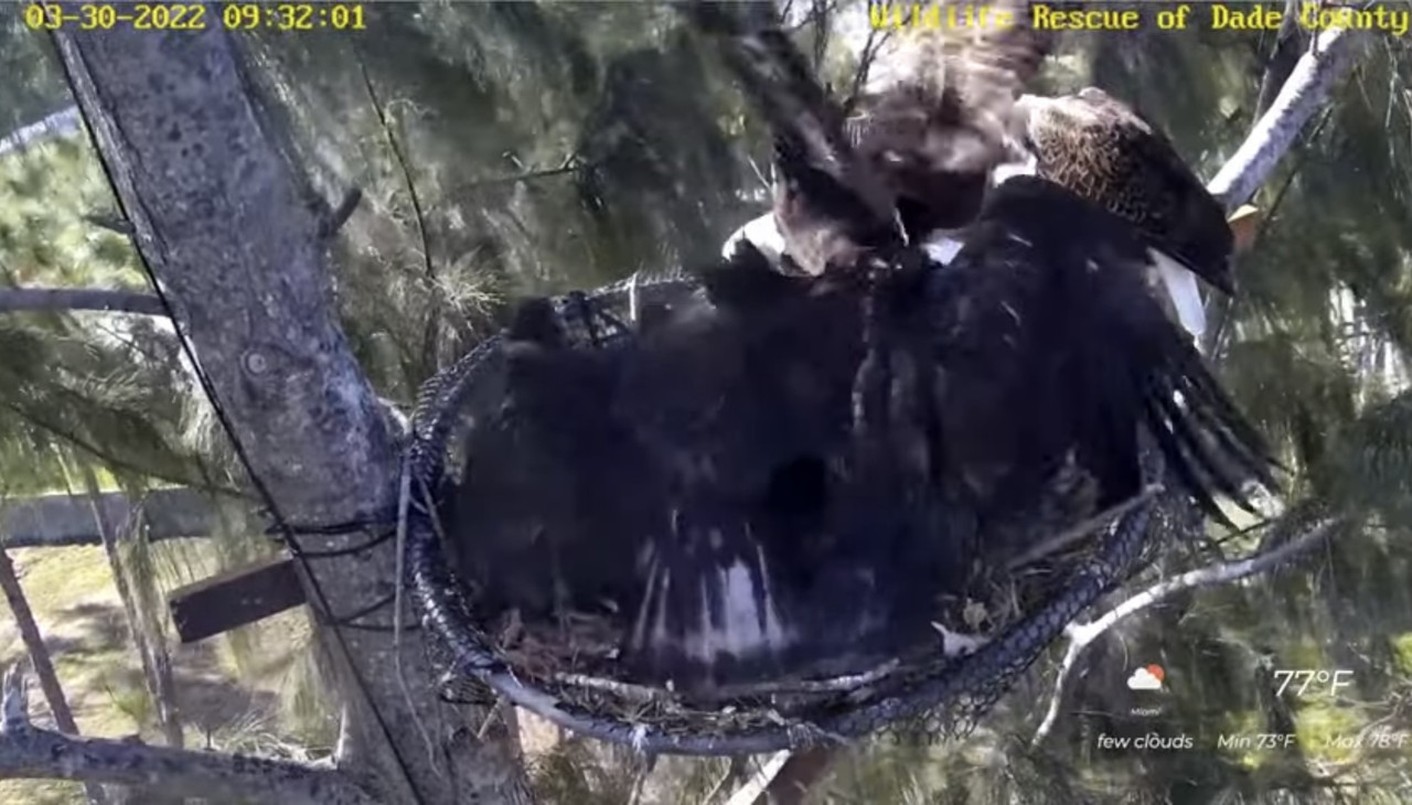 958B4F7C-F1C2-480B-98A1-C0F709FEA259