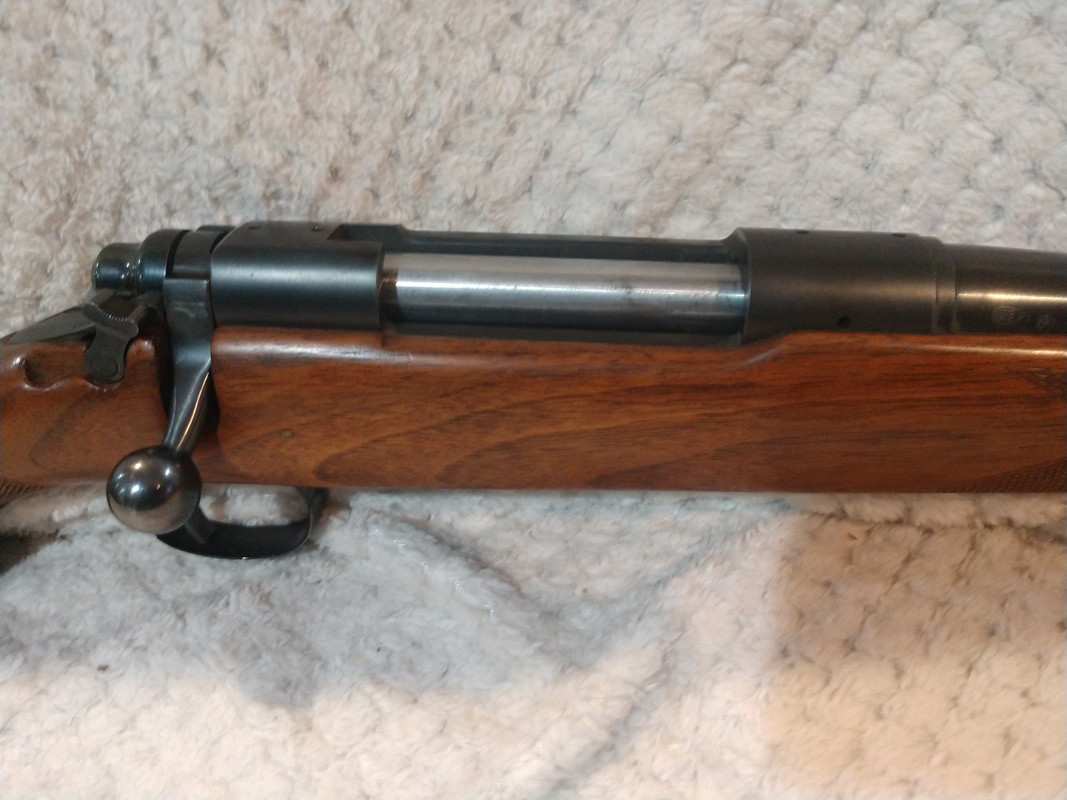 IMG_20191115_221243685