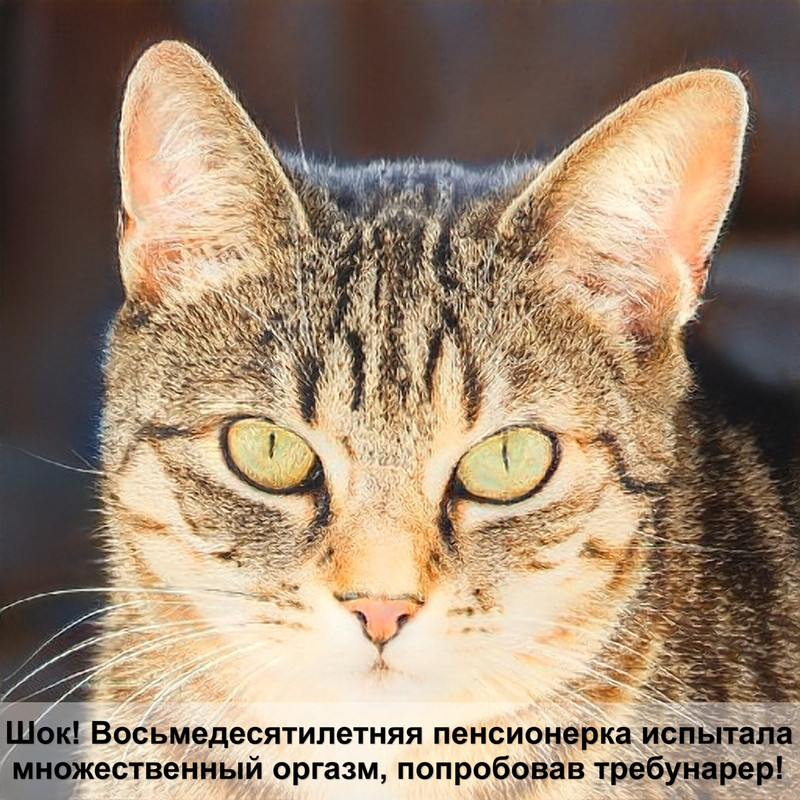 игровой комплекс для кота