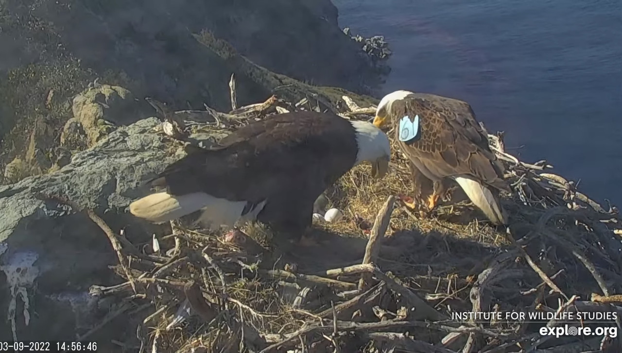 69D57CCB-C46F-4D08-9B0E-21E67D21D961