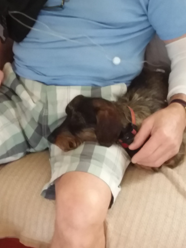 [Image: 20210902-122320.jpg]