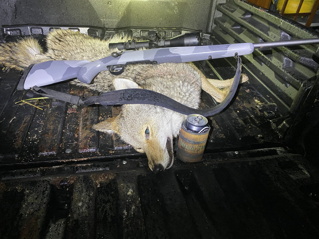 8ADFB360-3C9B-4173-8414-356B98A8C3A8