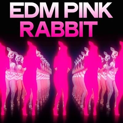 VA - EDM Pink Rabbit (Electronic Dance Music 2020) (02/2020) VA-EDM-opt