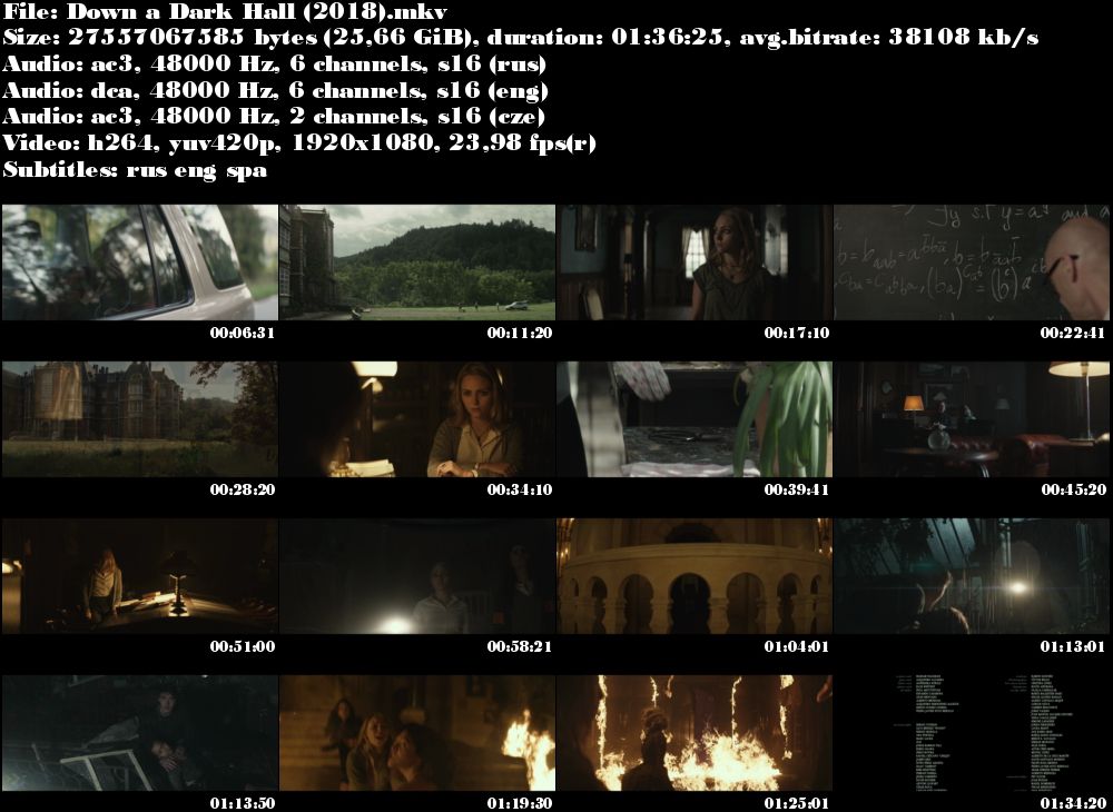 Temné osnovy / Down a Dark Hall (2018)
