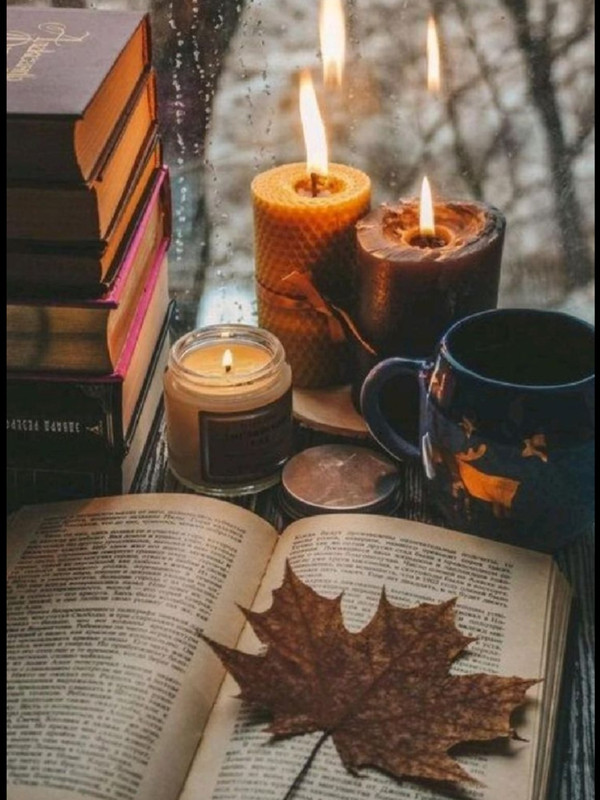 Screenshot_20251007_181534_Pinterest