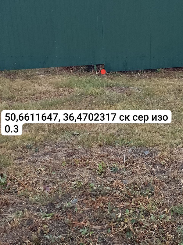 IMG_20251012_124549_901