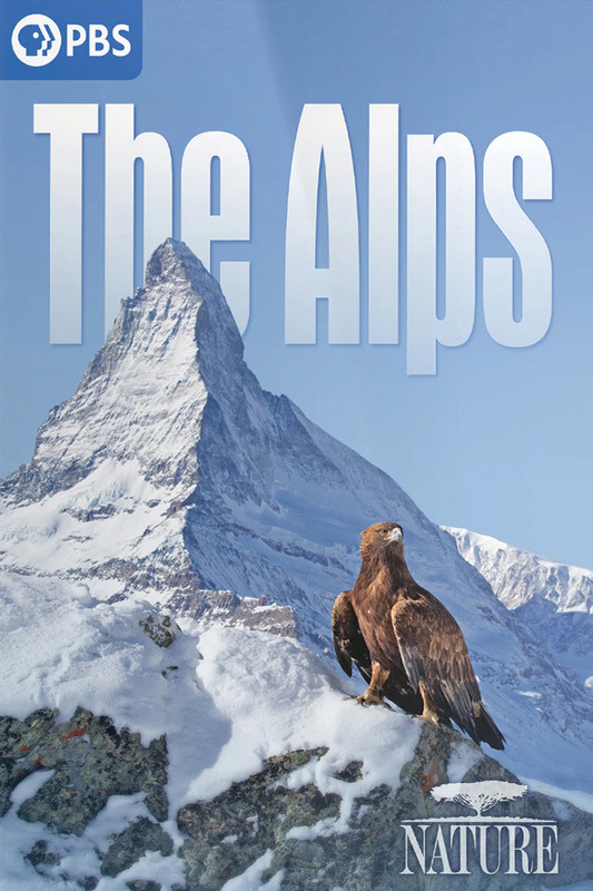 wilde-alpen-2020-720p-bluray-x264-getit.