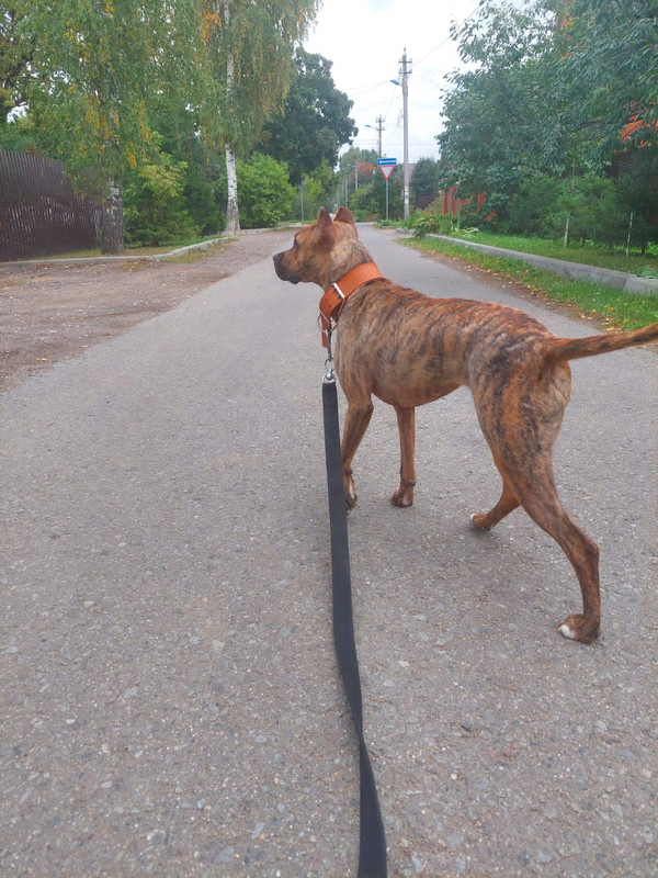 EB15D37C-0B62-45E1-8B98-33C624AFED80