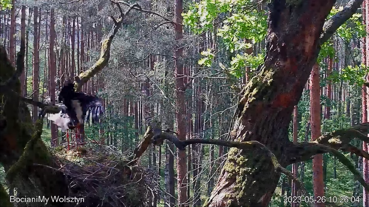 Zrzut ekranu (14137)