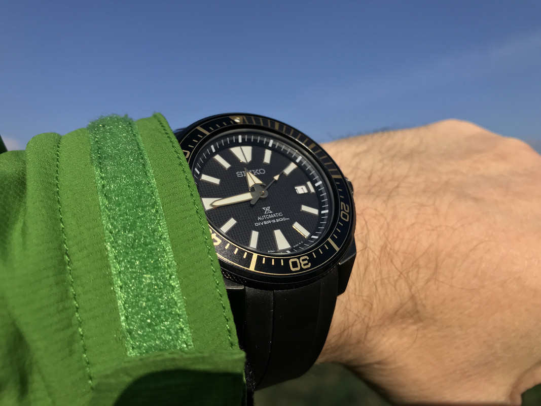 7-C78051-B-F13-A-42-EB-8-D3-A-969-BB031-