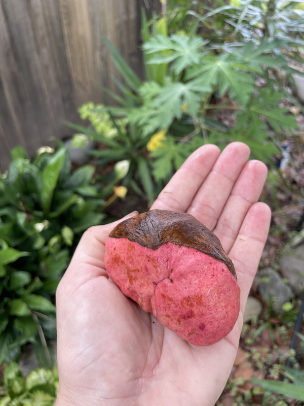 33EC637E-9793-4E4C-BE13-2C48091FEA87