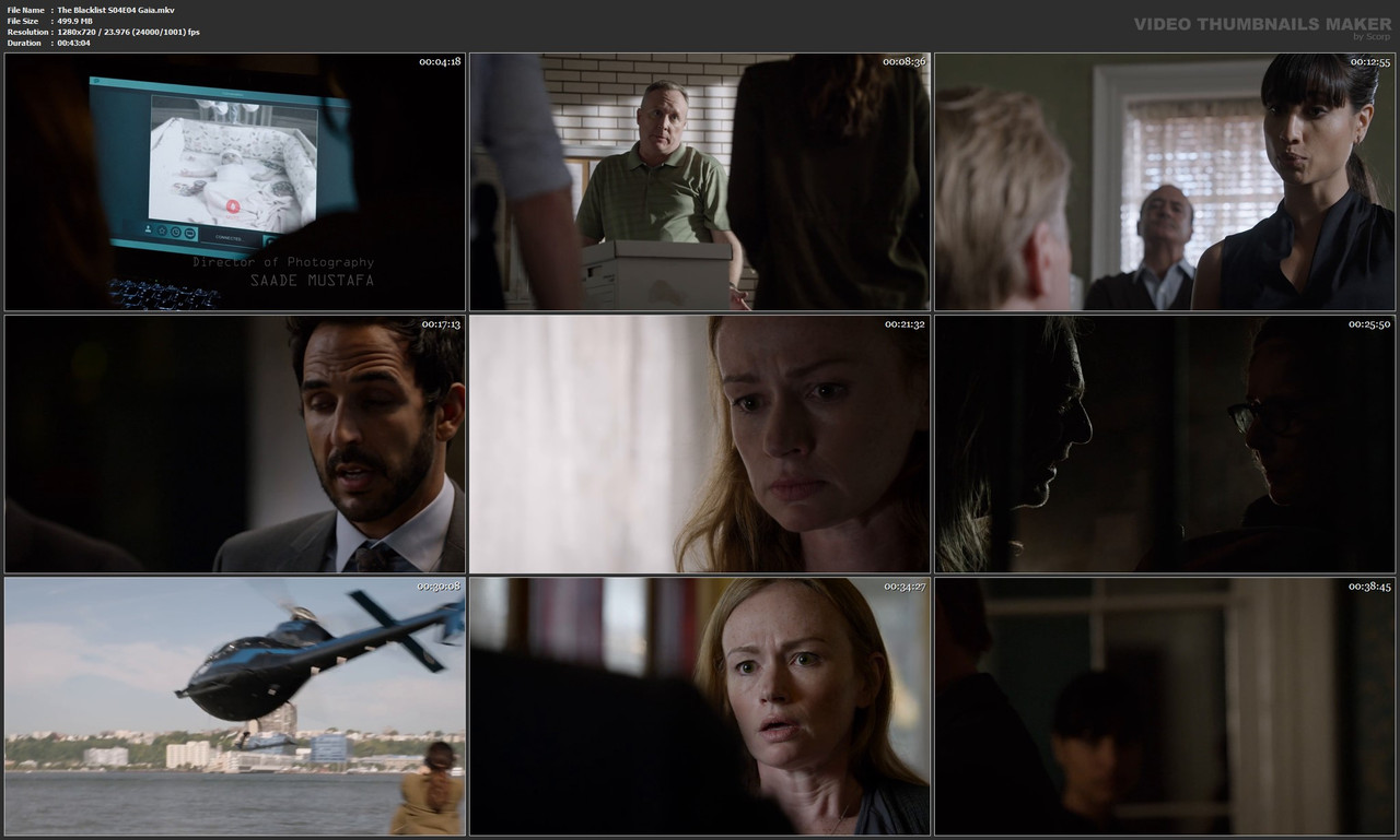 The Blacklist S04E04 Gaia.mkv