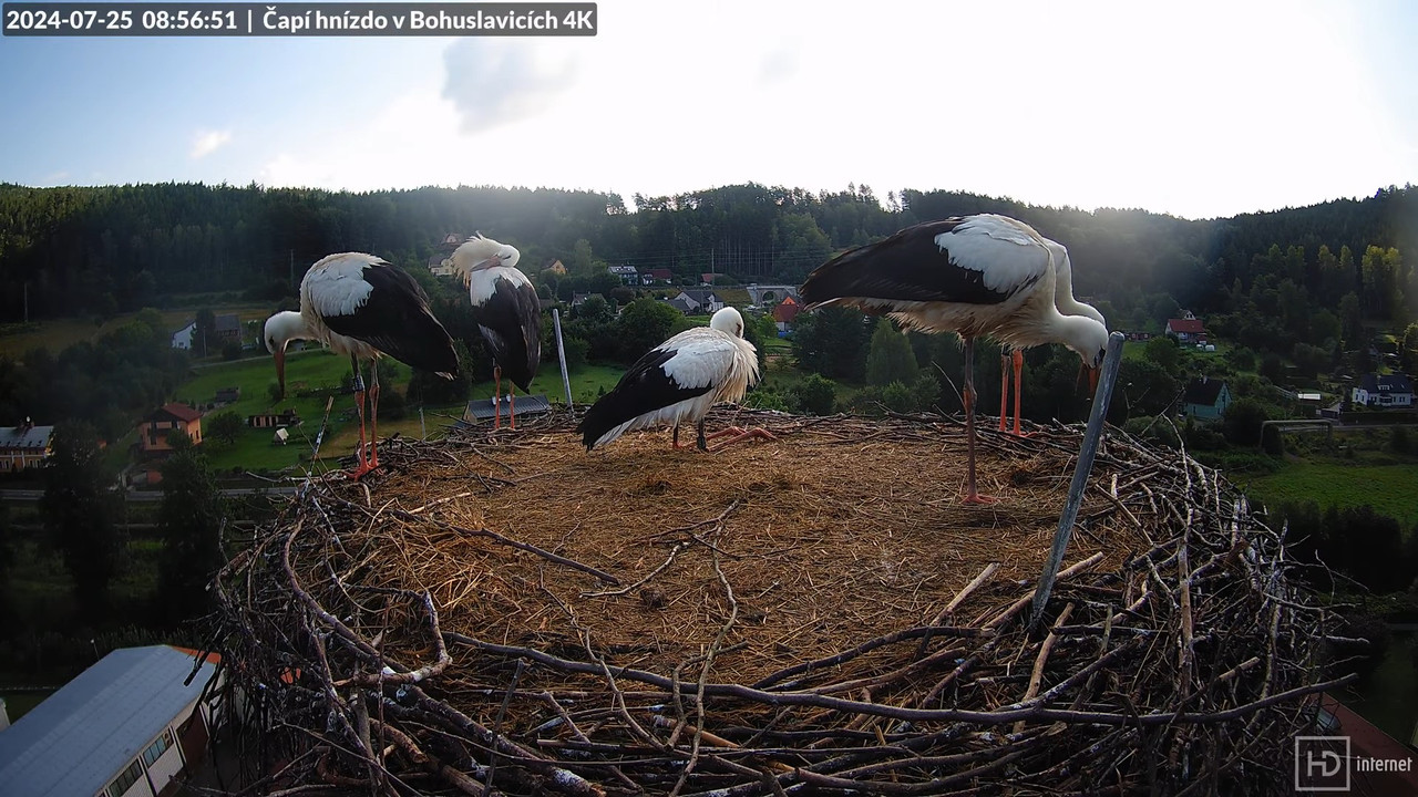 Živě z čapího komína firmy KARA v Bohuslavicích u Trutnova 14-28-27 screenshot