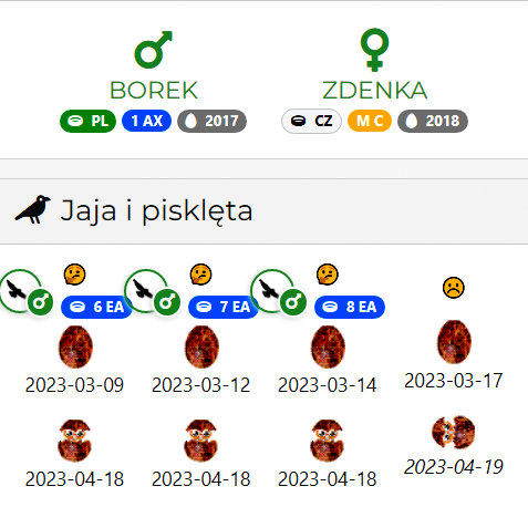 DOLINA BARYCZY - Pagina 2 Przechwytywanie-w-trybie-pe-noekranowym-16-05-2023-234809