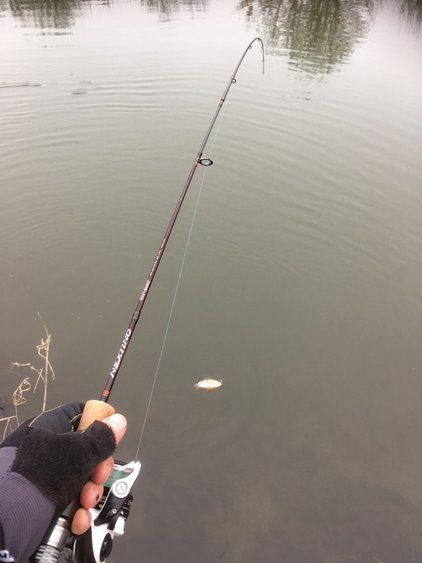 F8CE0CC3-5E54-4C41-BB26-C9A3E5547787