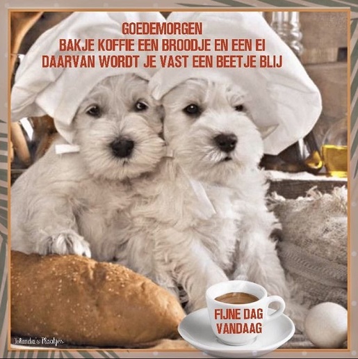 een-bakje-koffie
