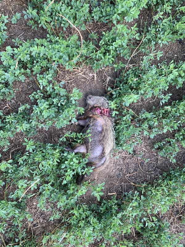 F04D562C-9E49-482F-AA6F-3826B3E488C4