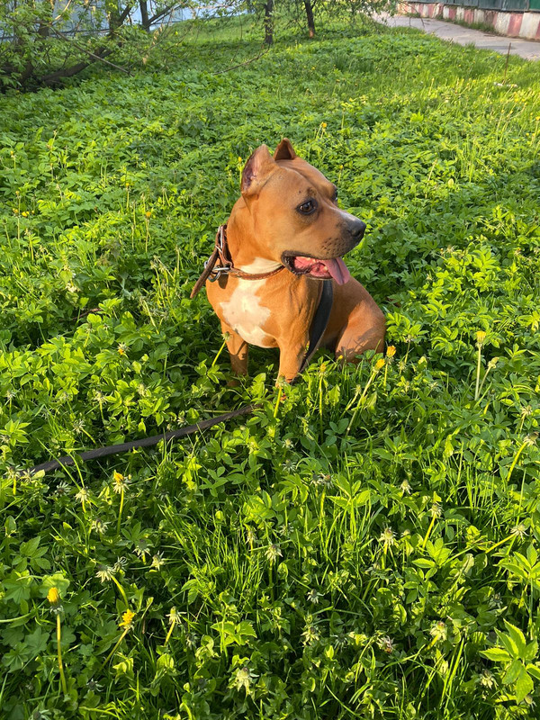 CBF311D5-DF58-454B-A3FA-B6CAD781481F