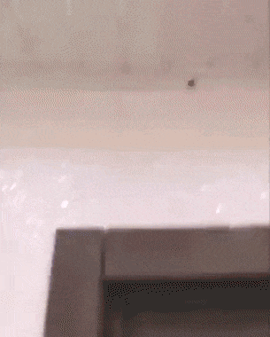 78.gif