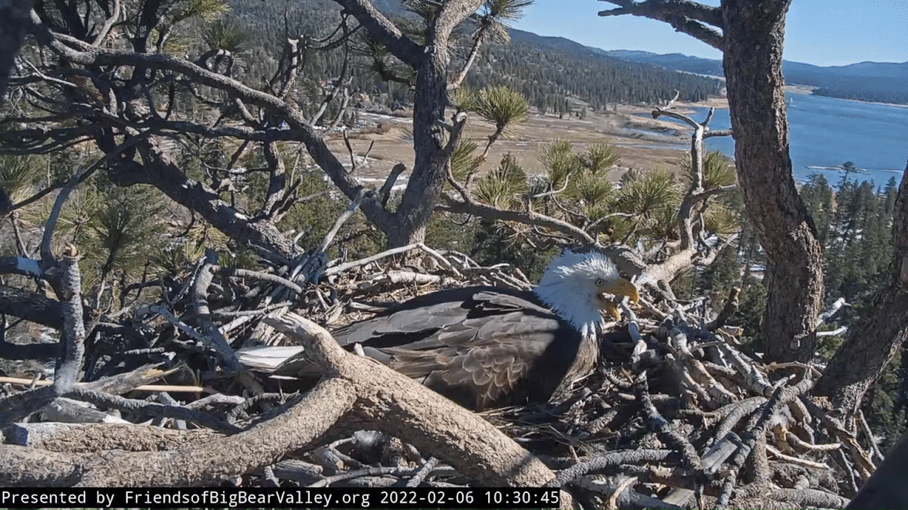 Webp.net-gifmaker (1)