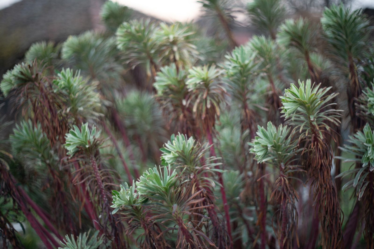 IMG-341d2983d6ff4d81c2b6f0ab8384d60a-V