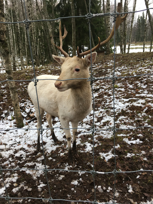 1E635262-7A20-4913-9F31-1A81B17745FA