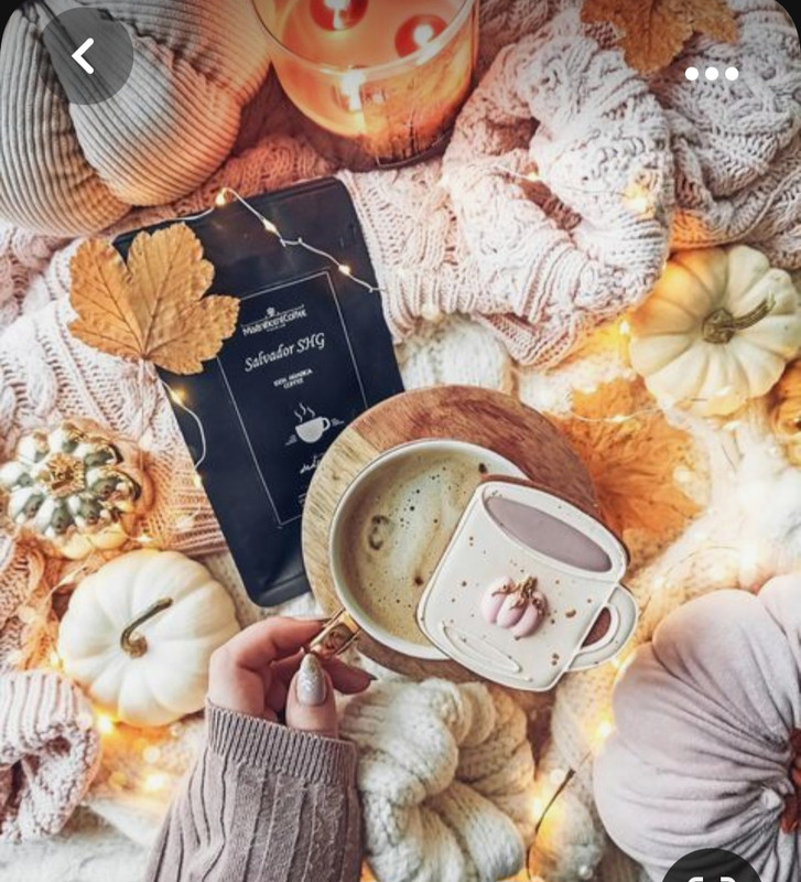 Screenshot_20231015_192820_Pinterest