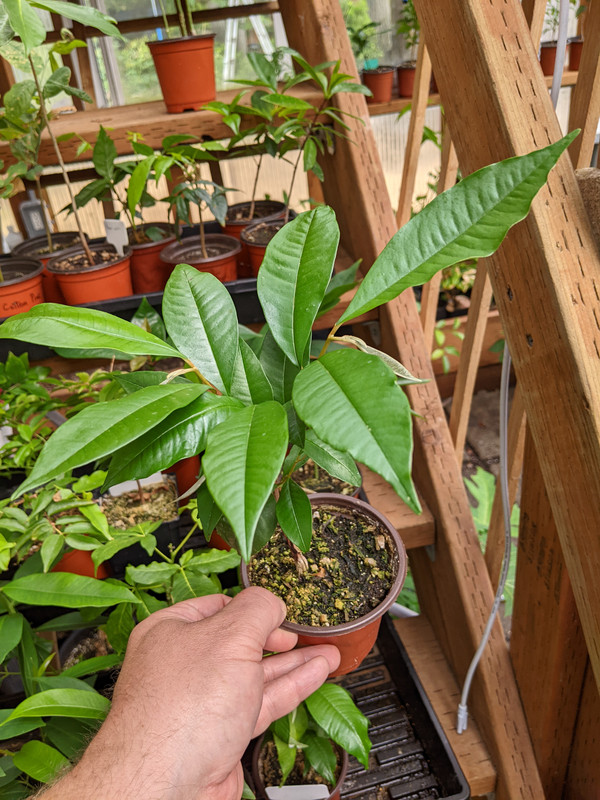 PXL_20230724_190426537.MP