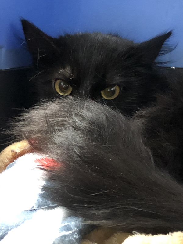 8C4E847D-116E-45F5-A630-E0E51BBABA80