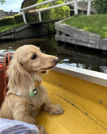 [Image: IMG-7252.jpg]