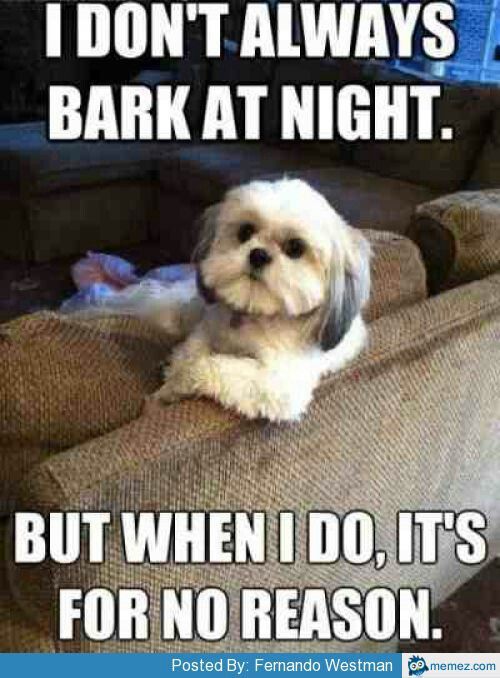 Dog Humor #2