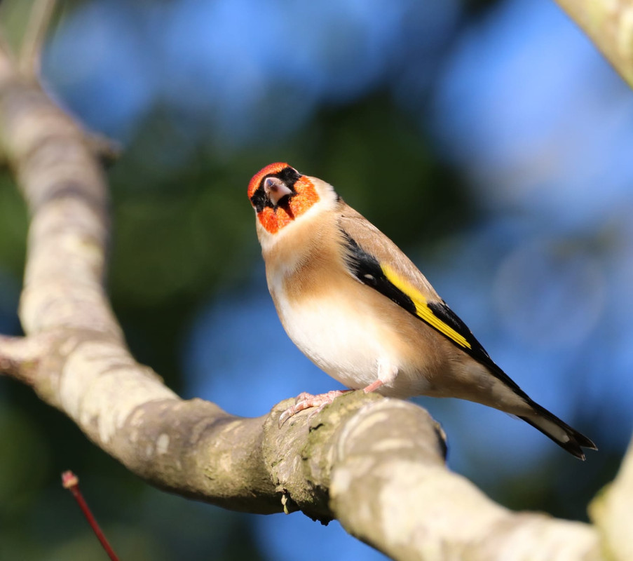 69575A4D-8F3B-475A-ABDF-AEED3B015286