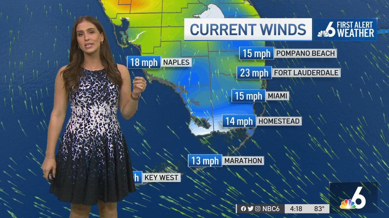 03.31 - 21.00.00 - Nbc 6 News At 4 00 P.M.-1.m4v_snapshot_13.20_[2022.04.01_12.54.17]