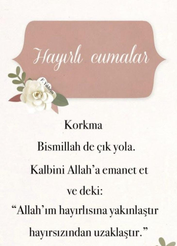 Whats App Bild 2025 12 12 um 08 43 15 e02ee81f