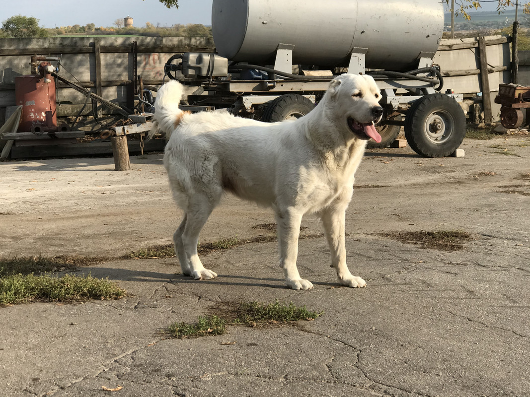 9389E294-24A9-4CE0-93FC-BB833F4FCD35