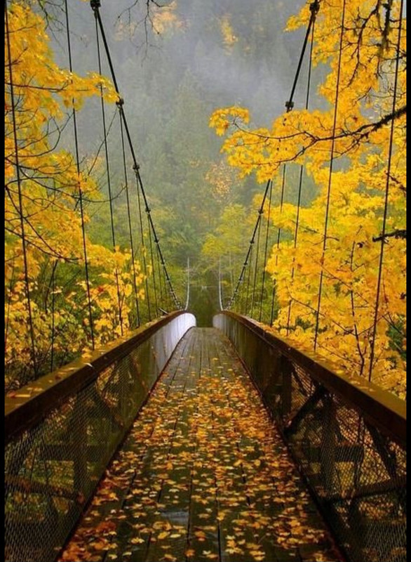 Screenshot_20250925_004633_Pinterest