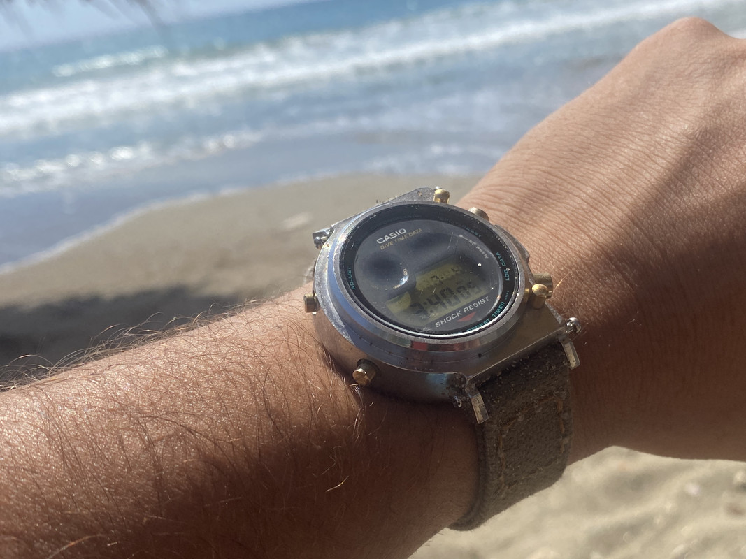 DF2A6A38-C39F-4051-9FA5-6936DCEB6221