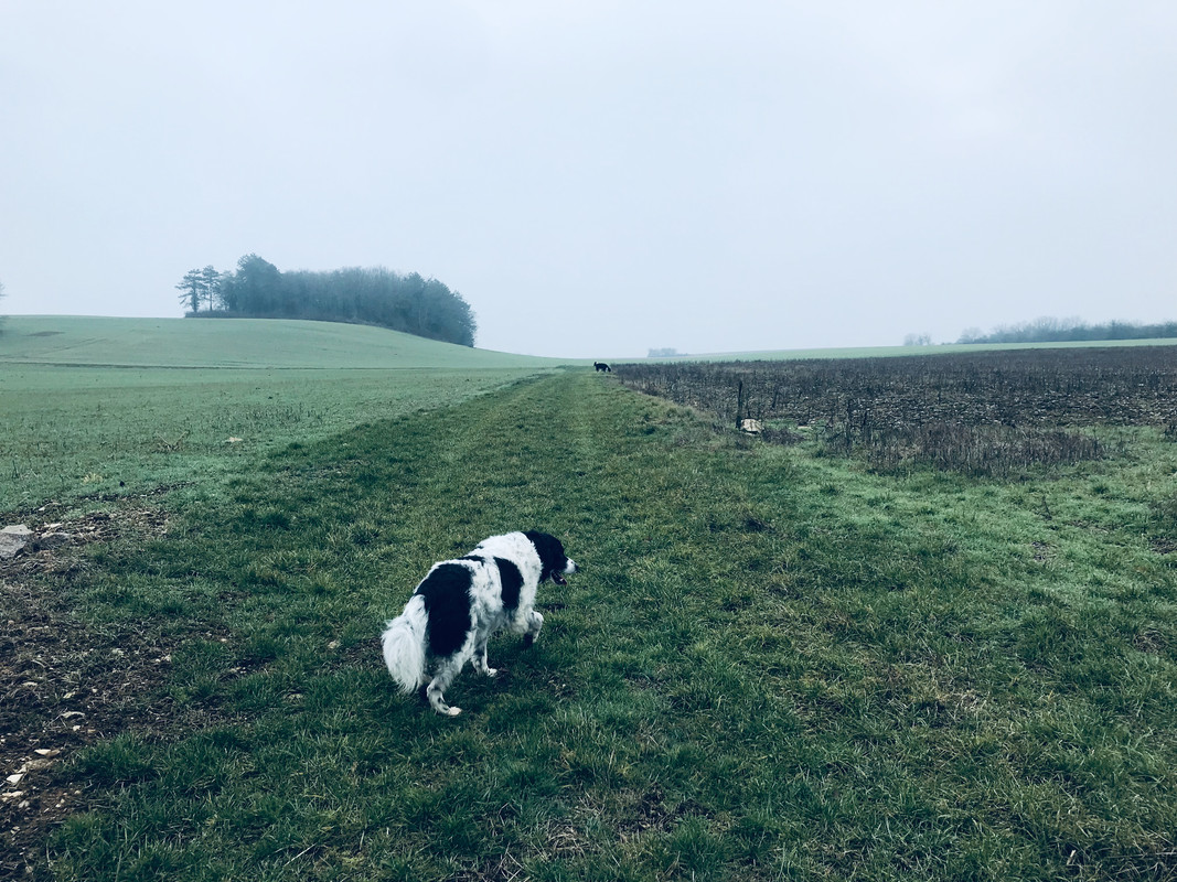 D185F3D6-7FD5-419B-8882-9954AA6C6EA8