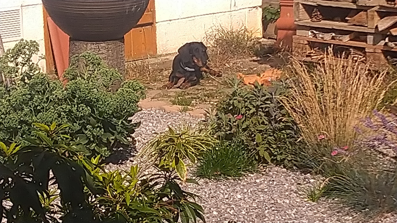 [Image: DSC-0787.jpg]